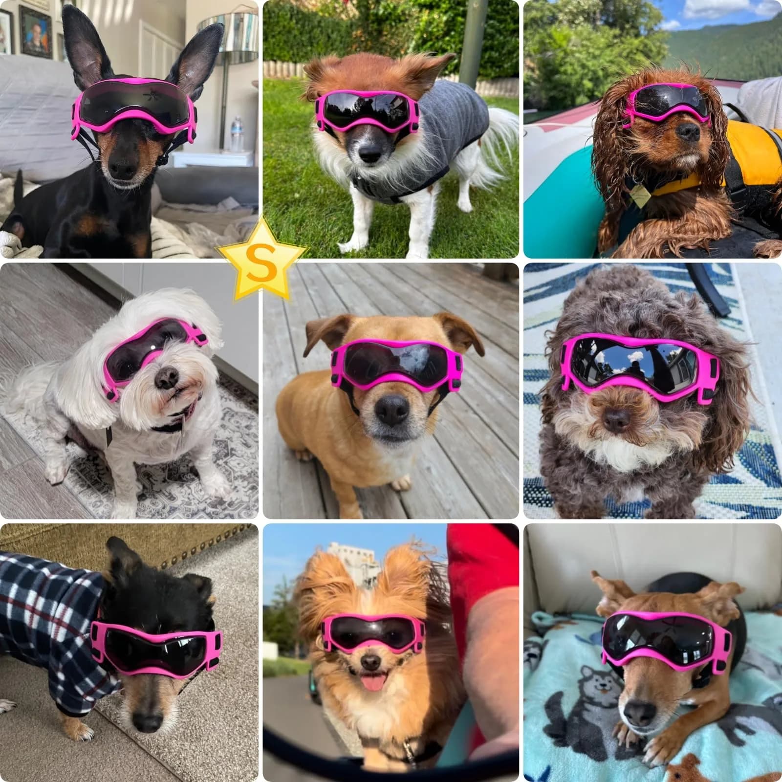 PETLESO Pink Small Dog Goggles: UV Protection Sunglasses for Small Breeds - view 2