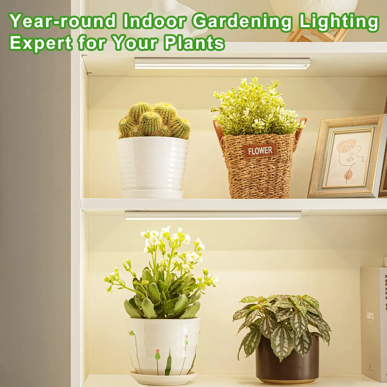 FOXGARDEN Full Spectrum Grow Light Strip 4 Pack | 384 LED Plant Lamp with Timer & Dimmable Brightness - view 5