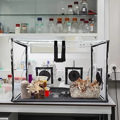 Lovely Ran Large Still Air Box Mushroom Mycology Fume Hood 31.5x20.5x20.5 inch | Mushroom Cultivation Enclosure thumbnail 6