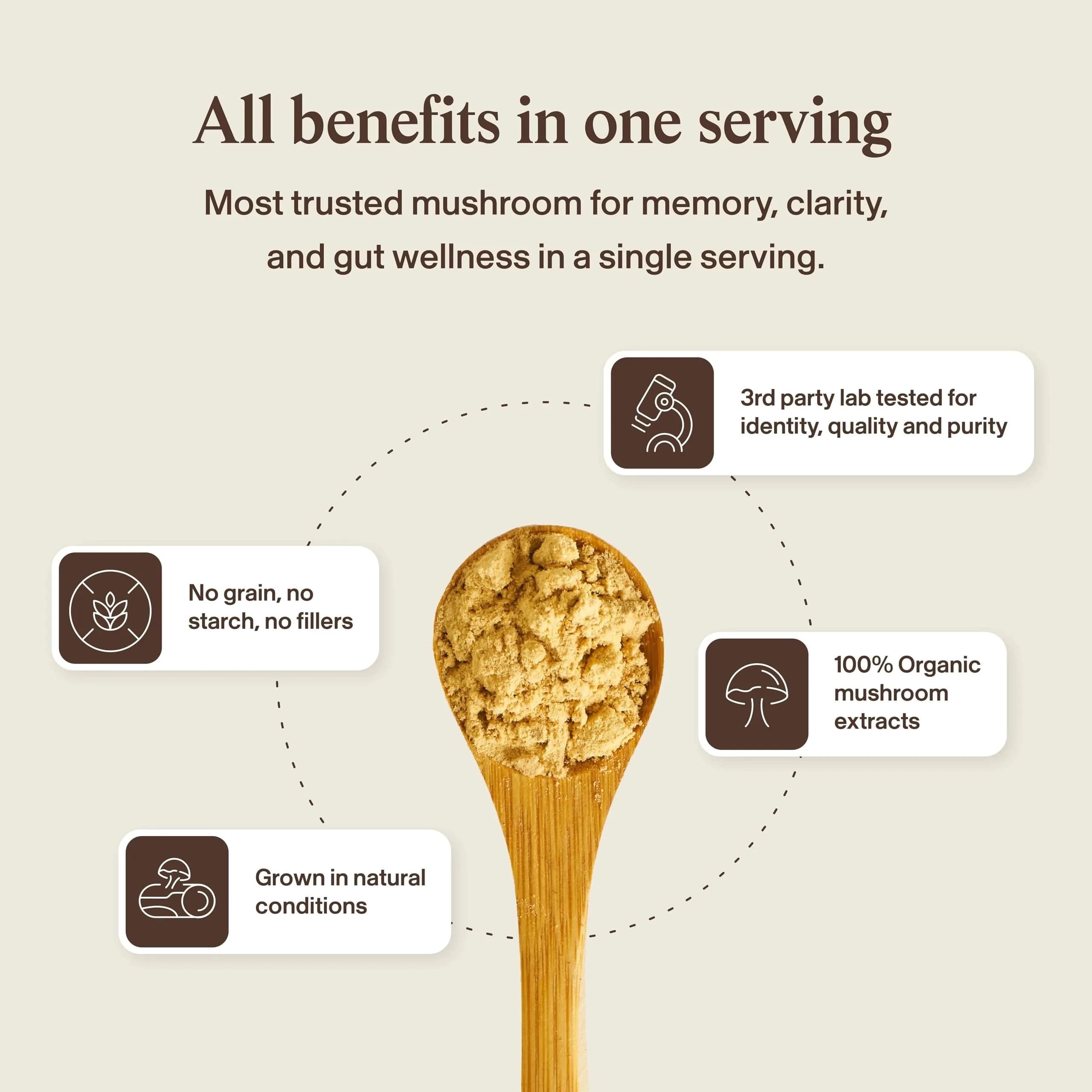 Real Mushrooms Lion's Mane Extract Powder 150 Servings | Organic Adaptogen for Focus & Clarity - view 8