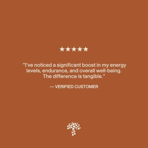 Real Mushrooms Cordyceps Mushroom Powder 150 Servings (5.29 oz / 150 g) | Organic Cordyceps Extract with 8% Beta-Glucans thumbnail 5