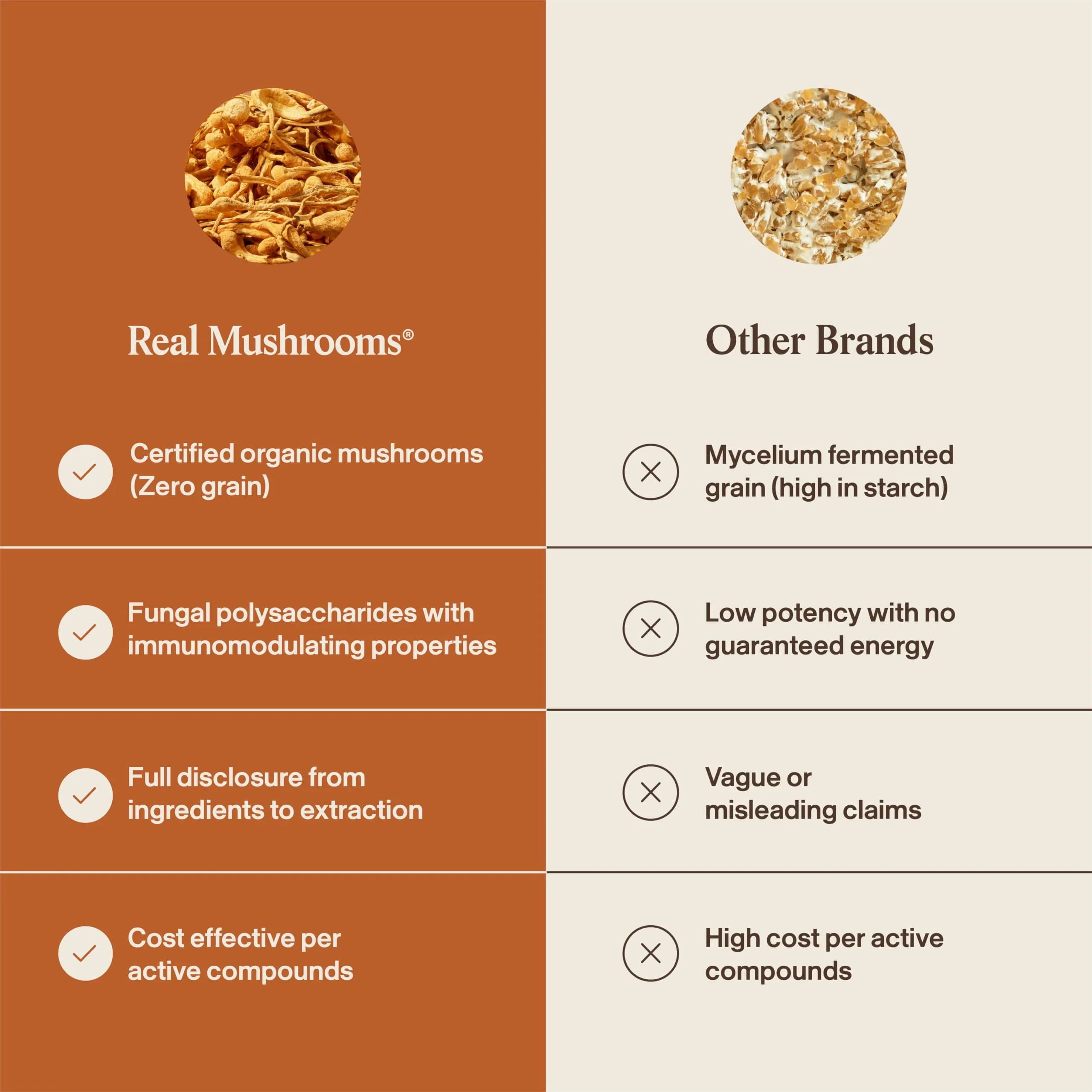 Real Mushrooms Cordyceps Mushroom Powder 150 Servings (5.29 oz / 150 g) | Organic Cordyceps Extract with 8% Beta-Glucans - view 6