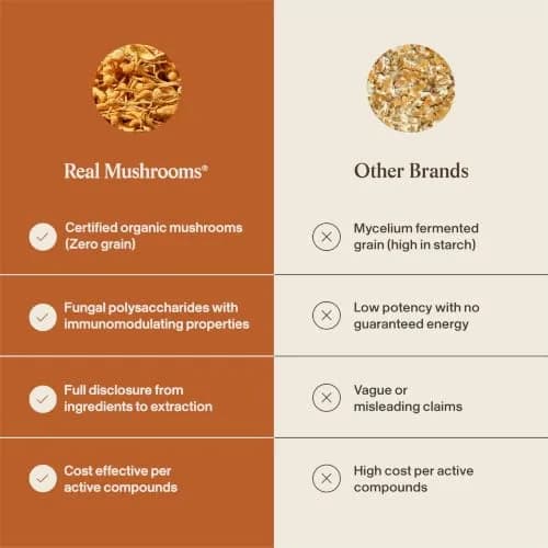 Real Mushrooms Cordyceps Mushroom Powder 150 Servings (5.29 oz / 150 g) | Organic Cordyceps Extract with 8% Beta-Glucans thumbnail 6
