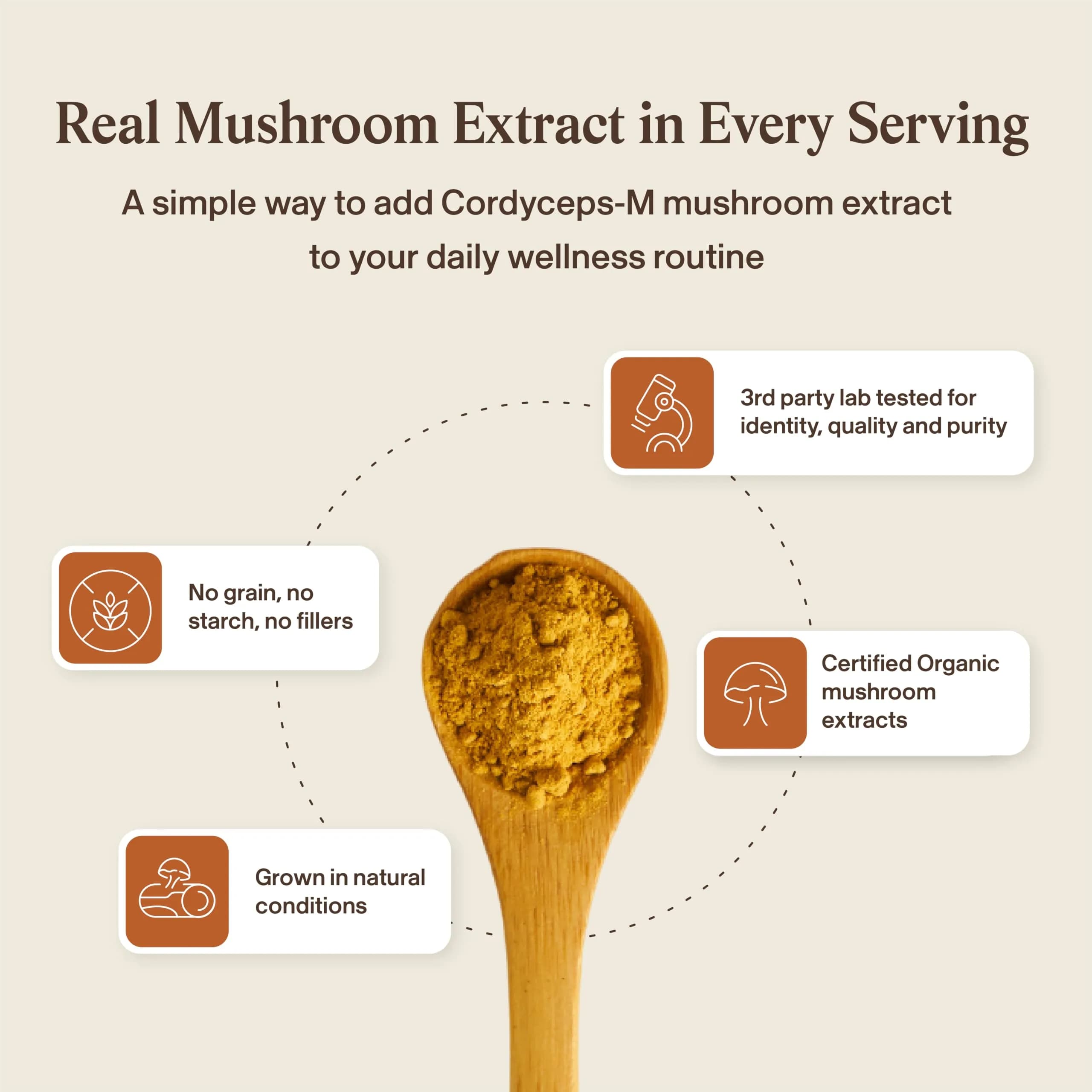 Real Mushrooms Cordyceps Mushroom Powder 150 Servings (5.29 oz / 150 g) | Organic Cordyceps Extract with 8% Beta-Glucans - view 7