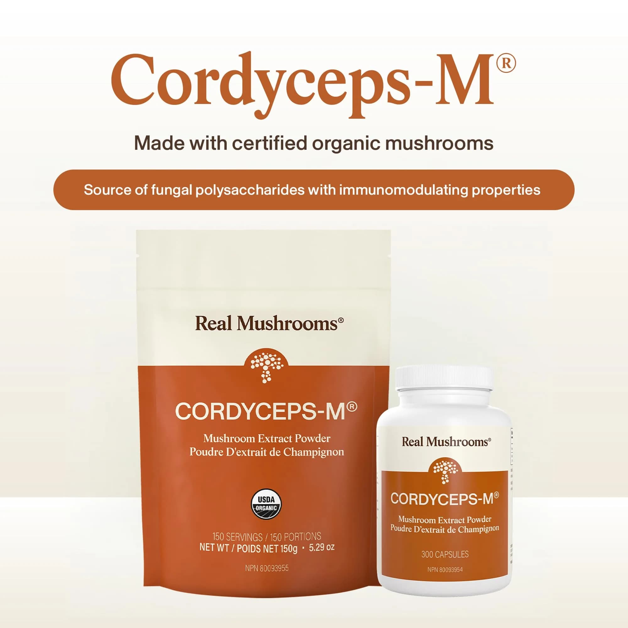 Real Mushrooms Cordyceps Mushroom Powder 150 Servings (5.29 oz / 150 g) | Organic Cordyceps Extract with 8% Beta-Glucans - view 2