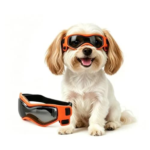PETLESO Dog Goggles Small Breed, UV Protection, Adjustable Straps, Orange S thumbnail 1