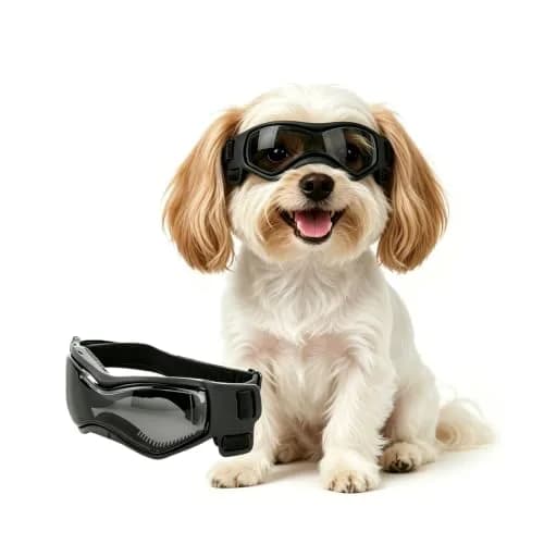 PETLESO Dog Goggles Small Breed UV Protection Adjustable Straps Black S | Outdoor Pet Eyewear for Riding & Hiking thumbnail 1