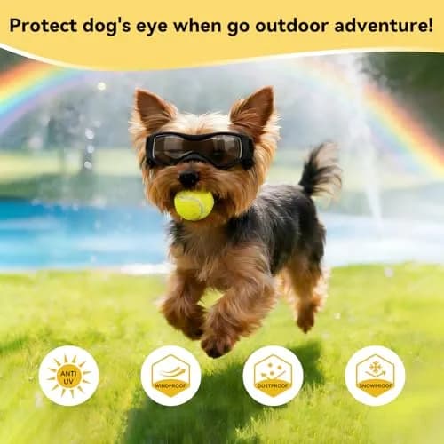 PETLESO Dog Goggles Small Breed UV Protection Adjustable Straps Black S | Outdoor Pet Eyewear for Riding & Hiking thumbnail 5