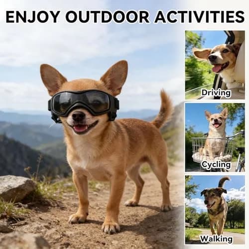 PETLESO Dog Goggles Small Breed UV Protection Adjustable Straps Black S | Outdoor Pet Eyewear for Riding & Hiking thumbnail 6