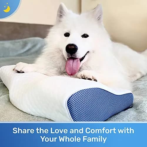 Derila King Cervical Neck Pillow, Memory Foam Contour 60cm (23.6") x 34cm (13.4") x 11cm (4.3") | Supports Neck & Head for All Sleepers thumbnail 4