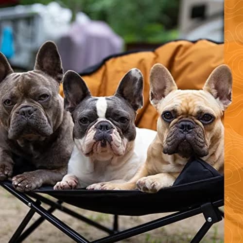 Kuma Outdoor Gear Lazy Bear Dog Bed with Carry Bag | Portable Luxury Outdoor Dog Bed for Camping & Glamping (Red/Black) thumbnail 6