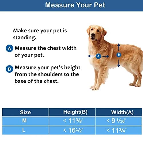 CEESC Large Dog Door, 11.75"x16.5" Flap, Up to 80 lbs, Weatherproof, Durable, White thumbnail 2