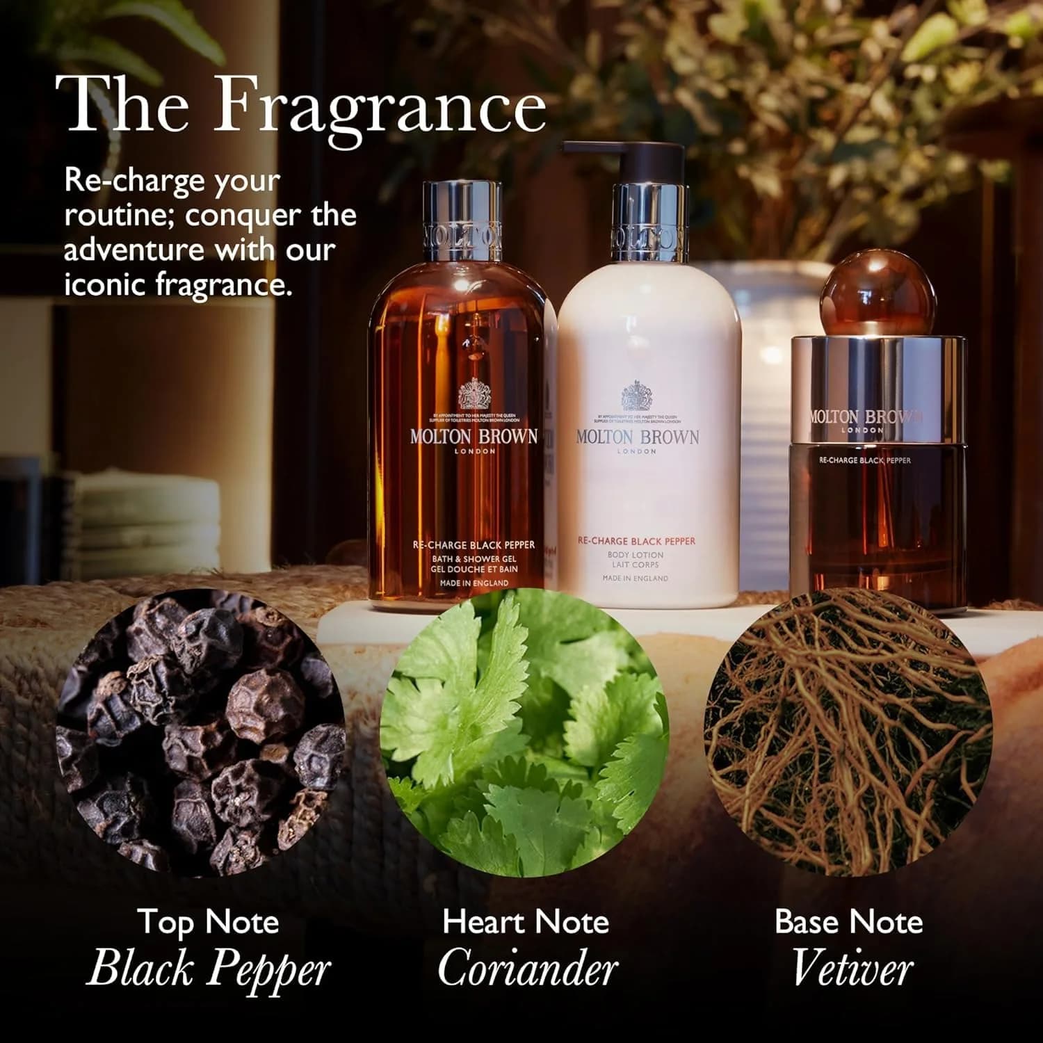 Molton Brown Re-Charge Black Pepper Body Wash 299ml (10 fl. oz.) | Award-Winning Woody-Citrus Energising Fusion - view 3