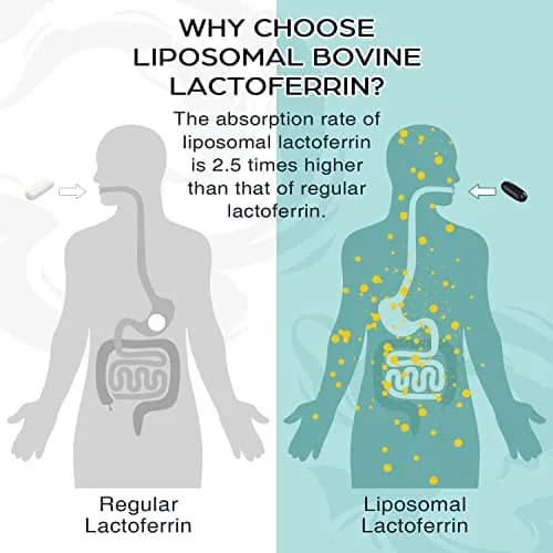 Pepeior Liposomal Bovine Lactoferrin 1000 mg | Supports Iron Absorption & Immunity (70-120 chars) thumbnail 6