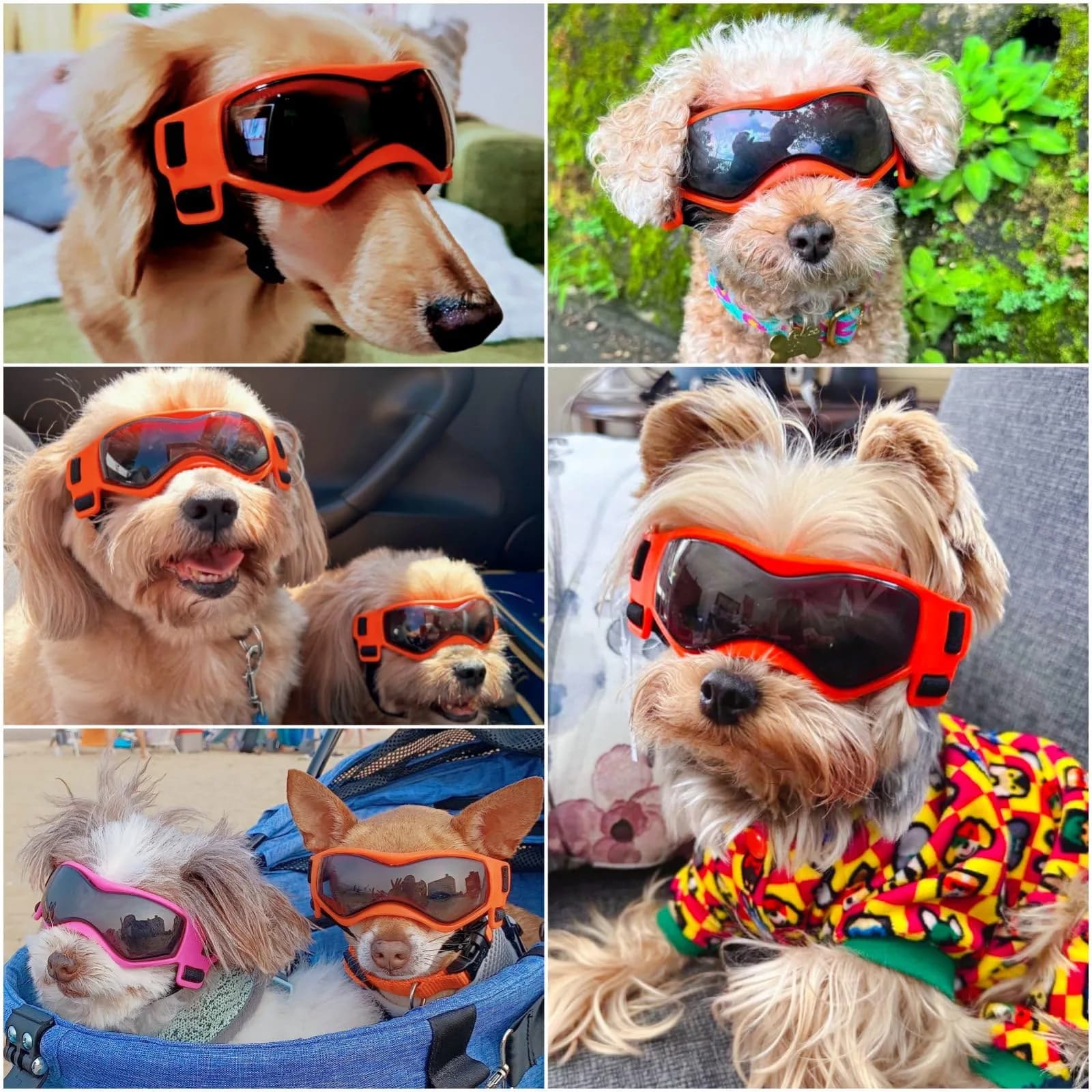 Enjoying Cool Orange Dog Goggles for Small Breeds with UV Protection - view 2