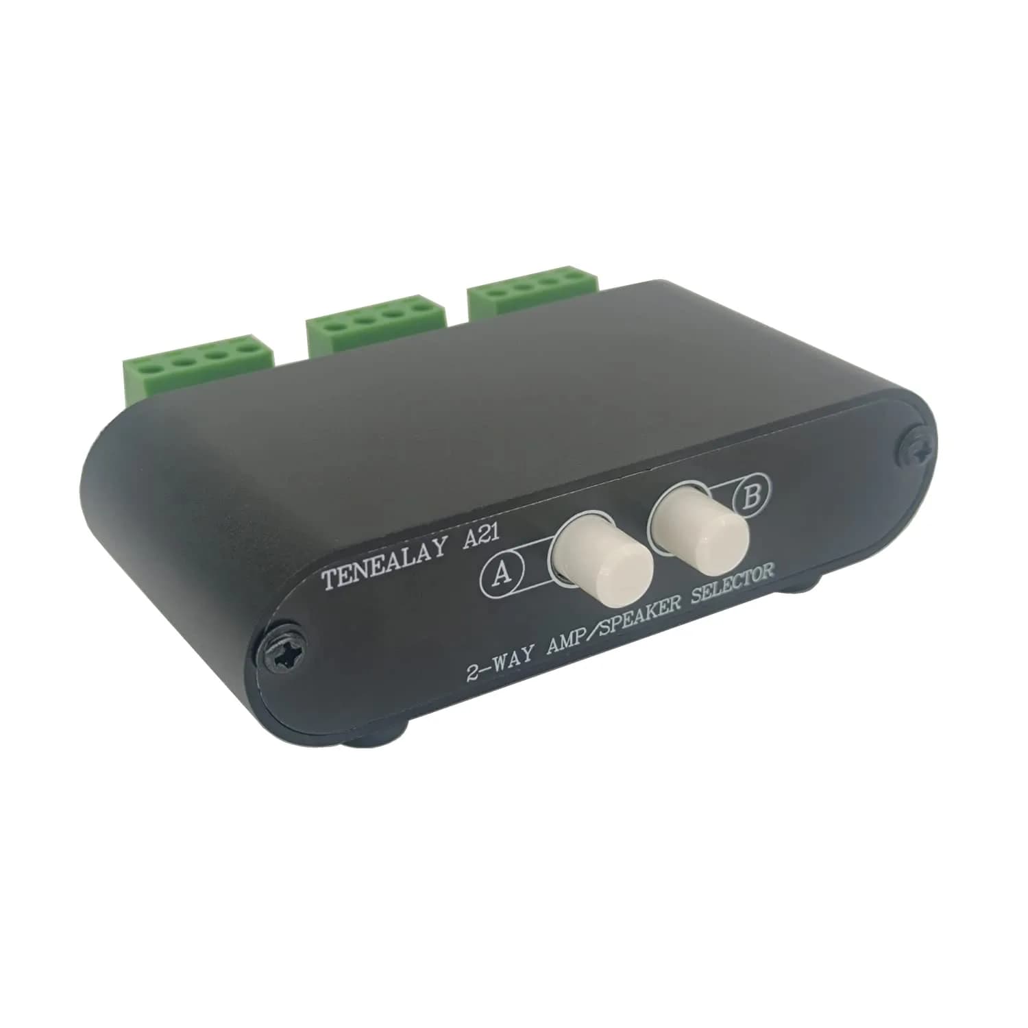 TENEALAY 2-Zone Speaker Selector Switch P21 | Control 2 Pairs of Speakers Simultaneously or Separately — 2 WAY AMP Switcher A21