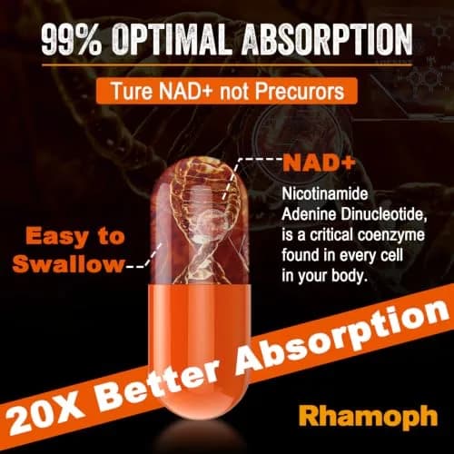 Rhameph Liposomal NAD+ Supplement 1300 mg | Supports Cellular Energy & Aging thumbnail 6