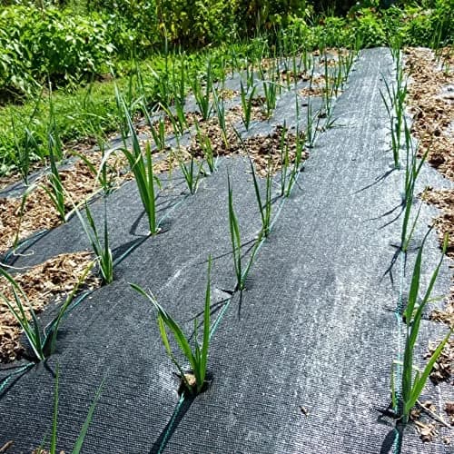 Groweco Heavy Duty Weed Barrier Landscape Fabric 6FT x 300FT (183cm x 9144cm) | Woven Geotextile Ground Cover for Driveways & Gardens thumbnail 7