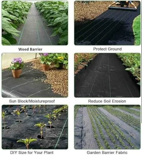 Groweco Heavy Duty Weed Barrier Landscape Fabric 6FT x 300FT (183cm x 9144cm) | Woven Geotextile Ground Cover for Driveways & Gardens thumbnail 8