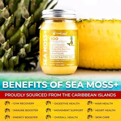 WELLNESS LABSRX Pineapple Sea Moss Gel Superfood 296ml (10 oz) | Nutrient-Rich Caribbean Harvest thumbnail 6