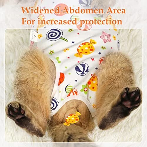 ANWA Cat Recovery Suit Female, Breathable Cat Surgery Recovery Suits | Post-Operative Support for Cats thumbnail 3