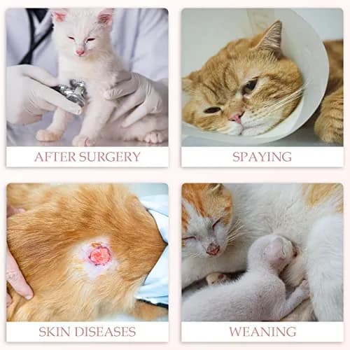 ANWA Cat Recovery Suit Large | Breathable Post-Surgery Cat Suit for Female thumbnail 6