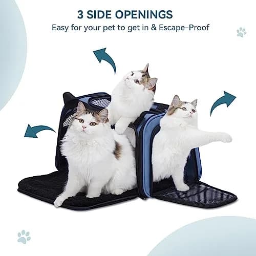Petsfit Pet Carrier, Blue, Small & Medium Cats & Puppies | Airline Approved & Collapsible thumbnail 6