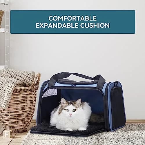 Petsfit Pet Carrier, Blue, Small & Medium Cats & Puppies | Airline Approved & Collapsible thumbnail 8
