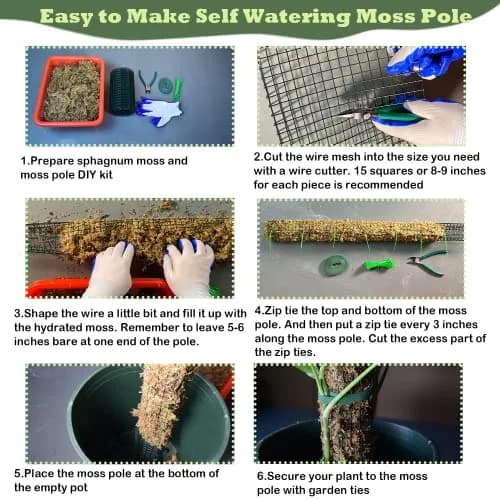 chicarry DIY Moss Pole Kit for Climbing Plants, 203 cm (6.6ft) Steel Wire Mesh with Zip Ties | Make Your Own Plant Support thumbnail 5