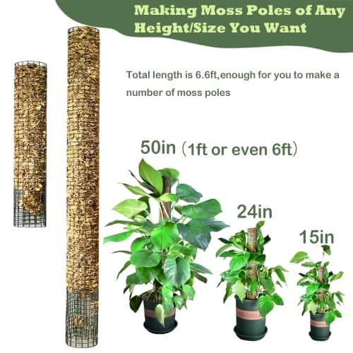 chicarry DIY Moss Pole Kit for Climbing Plants, 203 cm (6.6ft) Steel Wire Mesh with Zip Ties | Make Your Own Plant Support thumbnail 3