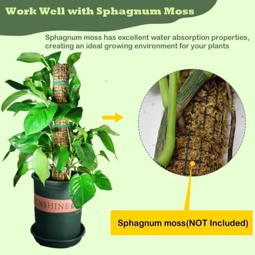 chicarry DIY Moss Pole Kit for Climbing Plants, 2.0m (6.6ft) Steel Mesh with Plier & Ties | Supports Monstera, Pothos, Philodendron Growth thumbnail 4