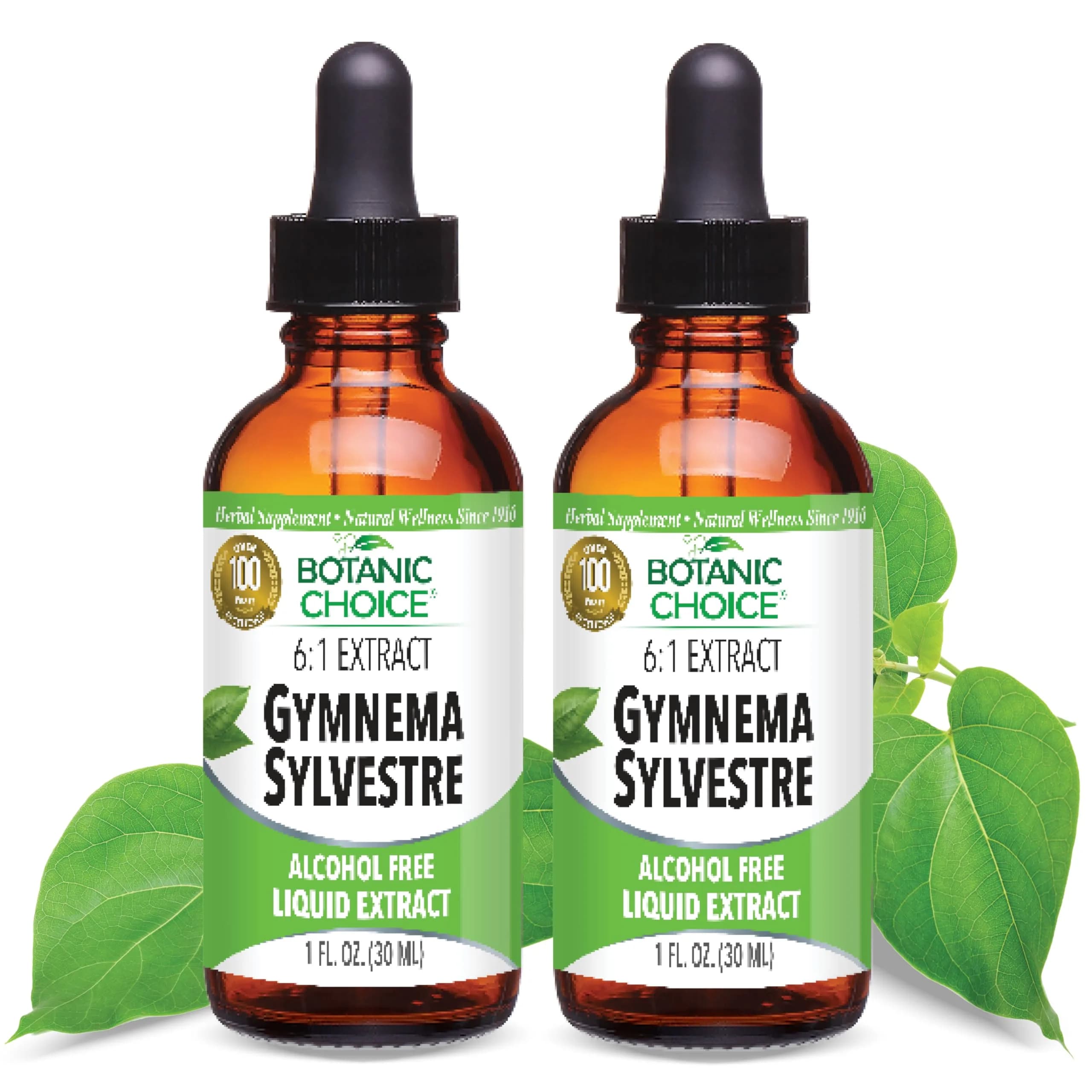Botanic Choice Gymnema Sylvestre Liquid Extract 1oz | Alcohol & Gluten Free, Non-GMO, Support Holistic Wellness - main product image