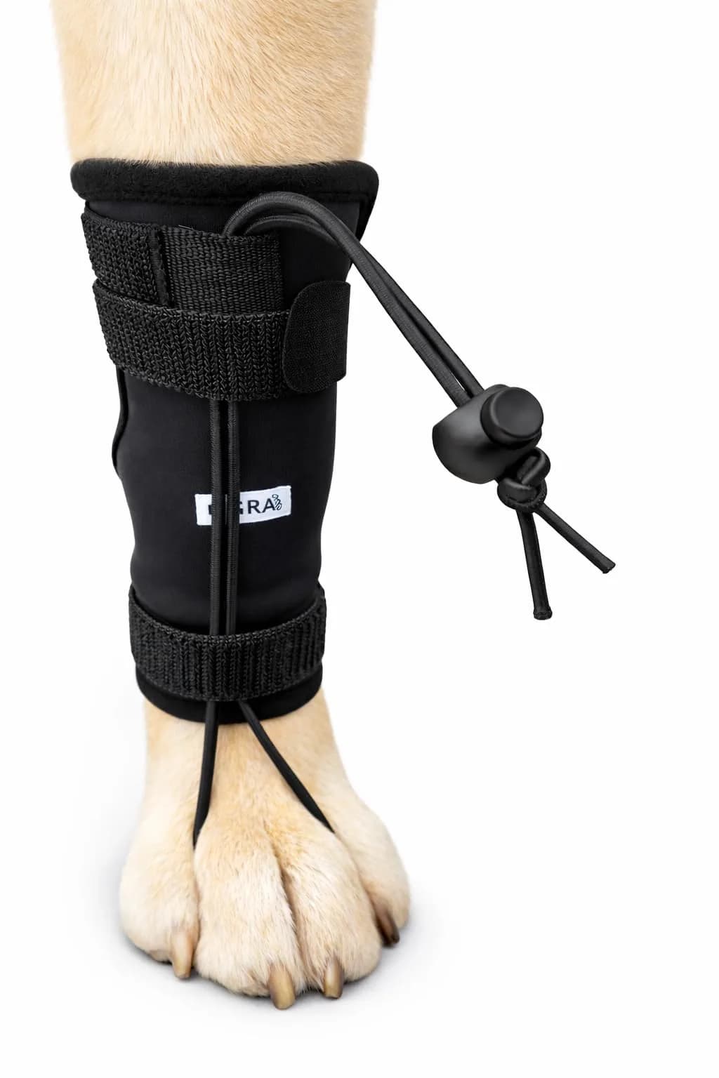 Labra Dog Canine Knuckling Corrector Toe Dragging Brace Wrap for Front or Rear Back Leg Paw | Support & Comfort for Mobility (100 words) — L/XL