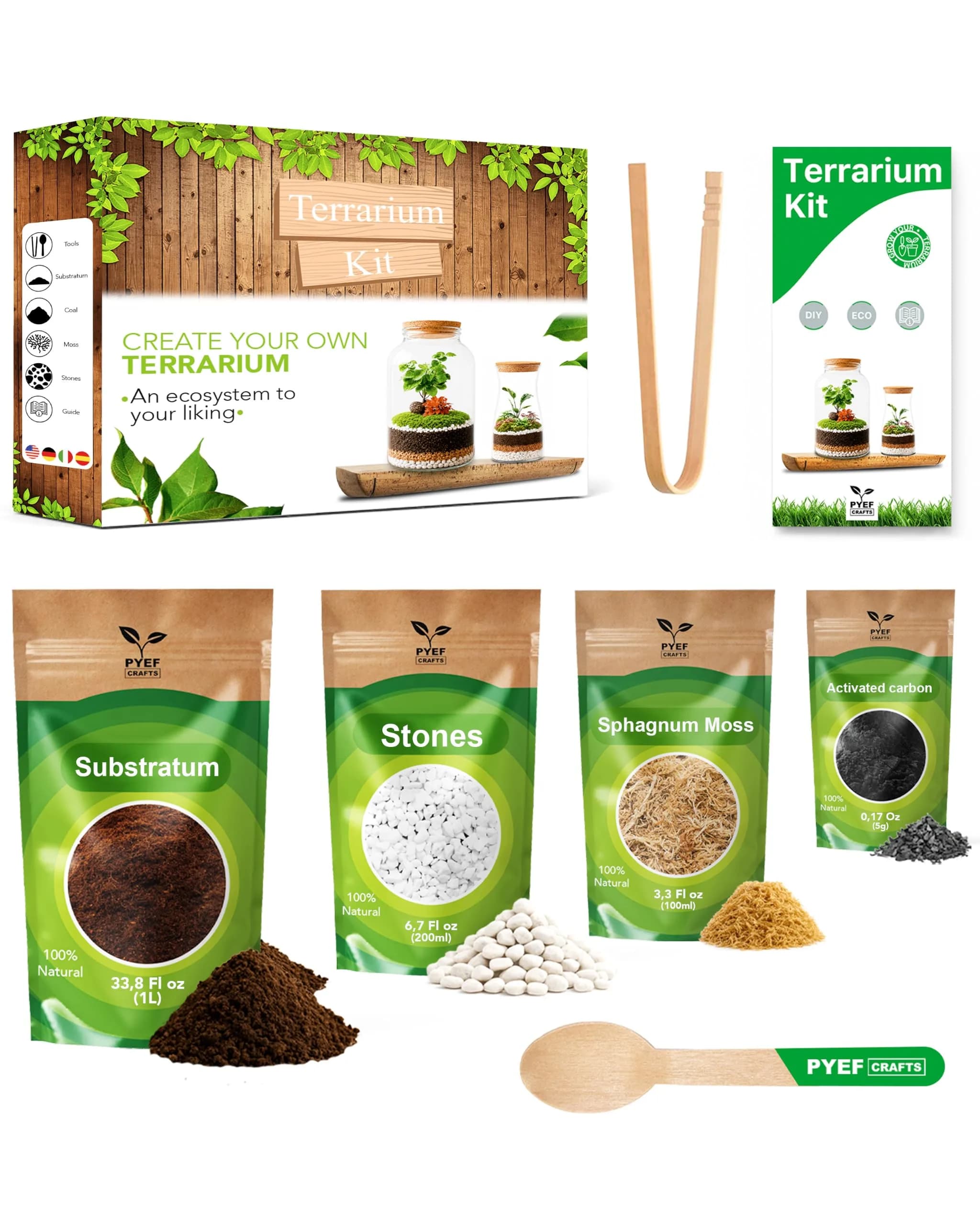 PYEF CRAFTS DIY Terrarium Kit with Succulents & Indoor Plants Supplies | 1.9L (64 fl oz) — M