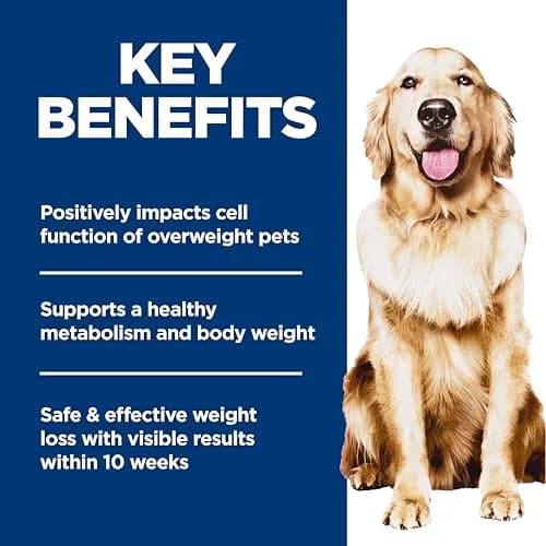 Hill's Science Diet Adult Perfect Weight Chicken & Brown Rice Dry Dog Food 11.34 kg (25 lb) | Clinically Proven Weight Management thumbnail 3