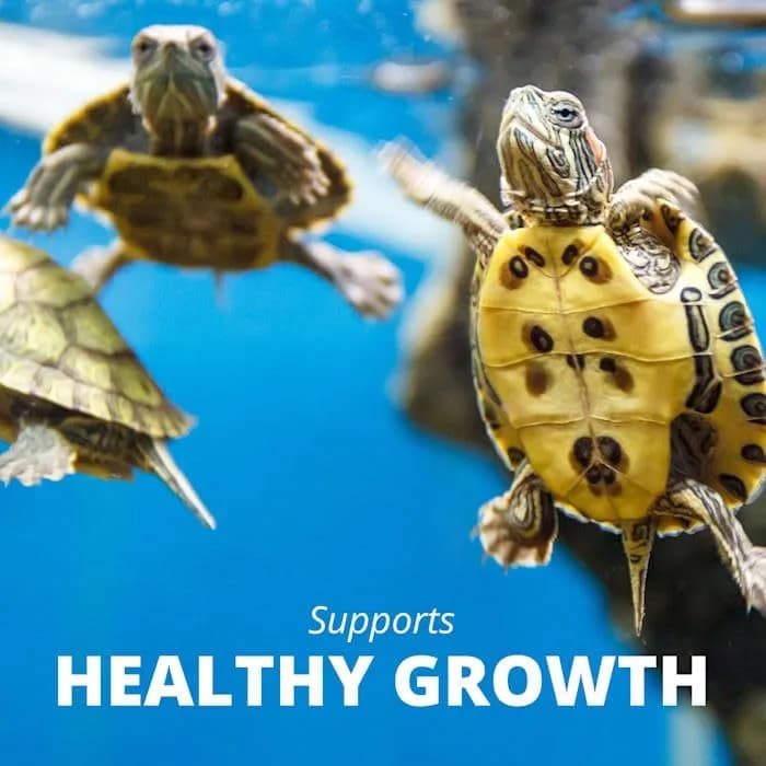 Tetra ReptoMin Floating Food Sticks 245g (8.65 oz) | Scientifically Formulated for Aquatic Turtles thumbnail 7