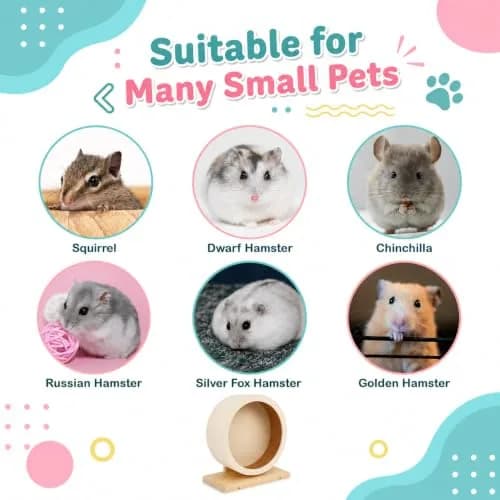 antiai Hamster Wooden Silent Wheel, 9.8 Inch Small Animal Exercise Wheel | Quiet, Durable & Safe for Small Pets thumbnail 7