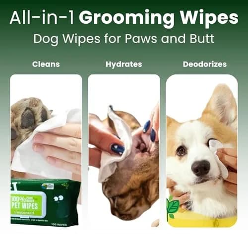 PET N PET Dog Wipes 100 Count Unscented Hypoallergenic | Waterless Pet Grooming Wipes for Paws & Face thumbnail 4