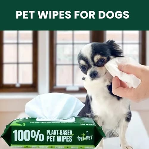 PET N PET Dog Wipes 100 Count Unscented Hypoallergenic | Waterless Pet Grooming Wipes for Paws & Face thumbnail 7