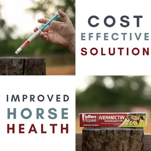 Jeffers Ivermectin Gel Dewormer for Horses 12 Pack | Apple Flavored Parasite Control thumbnail 3