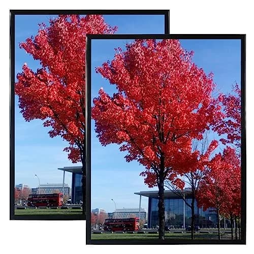 Medog 18x24 Inch Poster Frame Set of 2 | Wall Display, School & College Decor, Black, Rectangular thumbnail 1