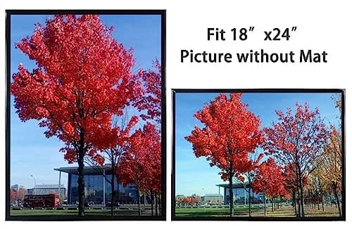 Medog 18x24 Inch Poster Frame Set of 2 | Wall Display, School & College Decor, Black, Rectangular thumbnail 4