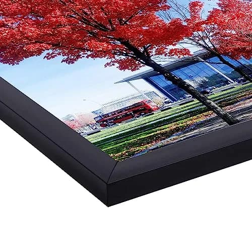 Medog 18x24 Inch Poster Frame Set of 2 | Wall Display, School & College Decor, Black, Rectangular thumbnail 5