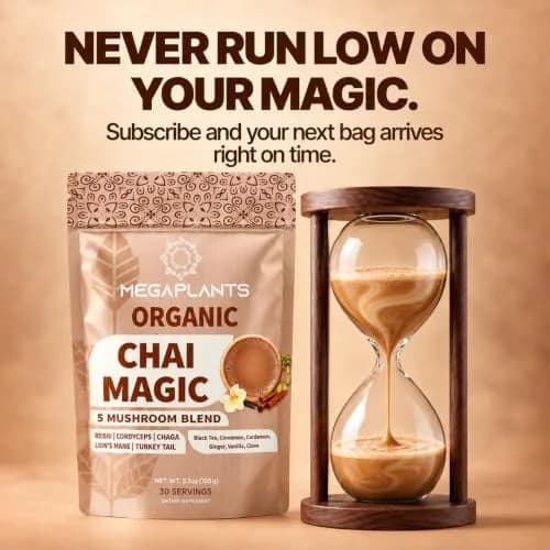 Megaplants Mushroom Chai Tea | Organic Masala Chai Latte Coffee Alternative for Focus & Wellness thumbnail 7