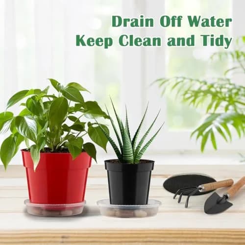 RooTrimmer 6 Inch Red Plastic Plant Pots with Saucers & Mesh Pads (20-Pack) | Durable Nursery Pots for Indoor/Outdoor Use thumbnail 5