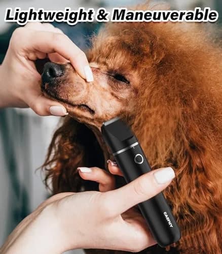 Casfuy Cordless Dog Paw Trimmer - Low Noise Small Dog Clippers with Double Blades USB Rechargeable for Dogs Cats Small Pets (1.5h runtime) thumbnail 5