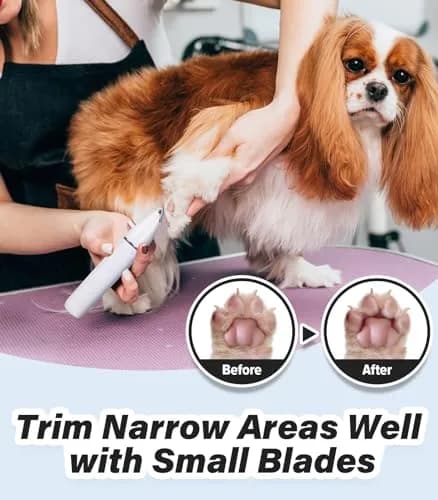 Casfuy Cordless Dog Paw Trimmer - Low Noise Small Dog Clippers with Double Blades USB Rechargeable for Dogs Cats and Small Pets thumbnail 2