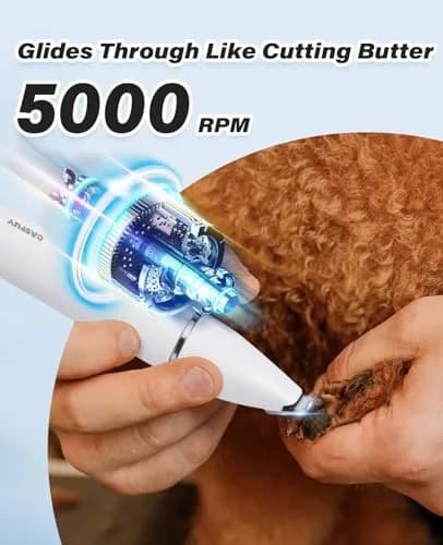 Casfuy Cordless Dog Paw Trimmer - Low Noise Small Dog Clippers with Double Blades USB Rechargeable for Dogs Cats and Small Pets thumbnail 3