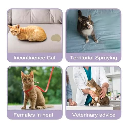 Paw Legend Reusable Cat Diapers for Female Cats Spraying, Washable Kitten Diapers for Incontinence, 3 Pack Medium | Correct Fit & Adjustable Comfort thumbnail 6