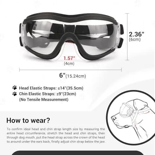 NAMSAN Clear Dog Goggles for Medium to Large Dogs | UV Protection, Windproof, Adjustable Elastic Straps (2-Pair Pack) thumbnail 5